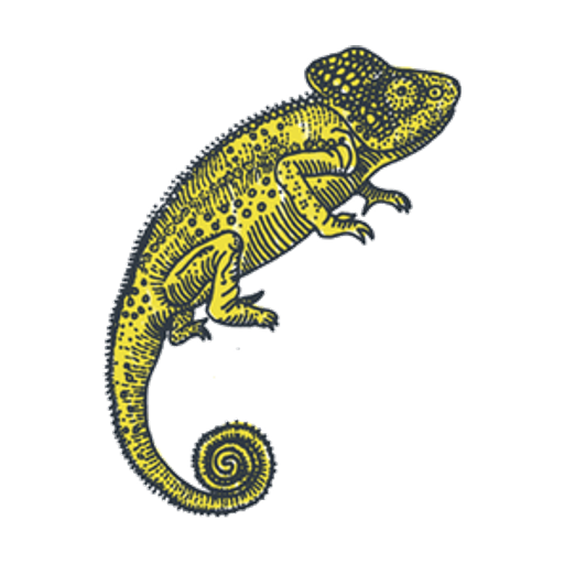 The Alexander mascot — a chameleon illustration